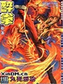 新著醉拳漫画