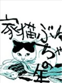 家猫小文的一年漫画