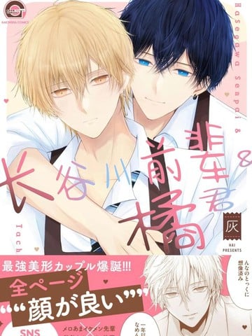 长谷川前辈与橘同学漫画