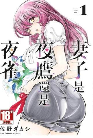 妻子是夜鹰还是夜雀漫画