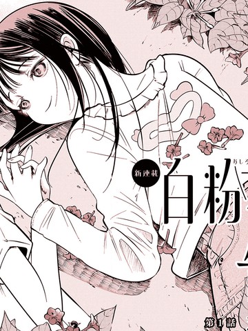 白粉花的告白漫画
